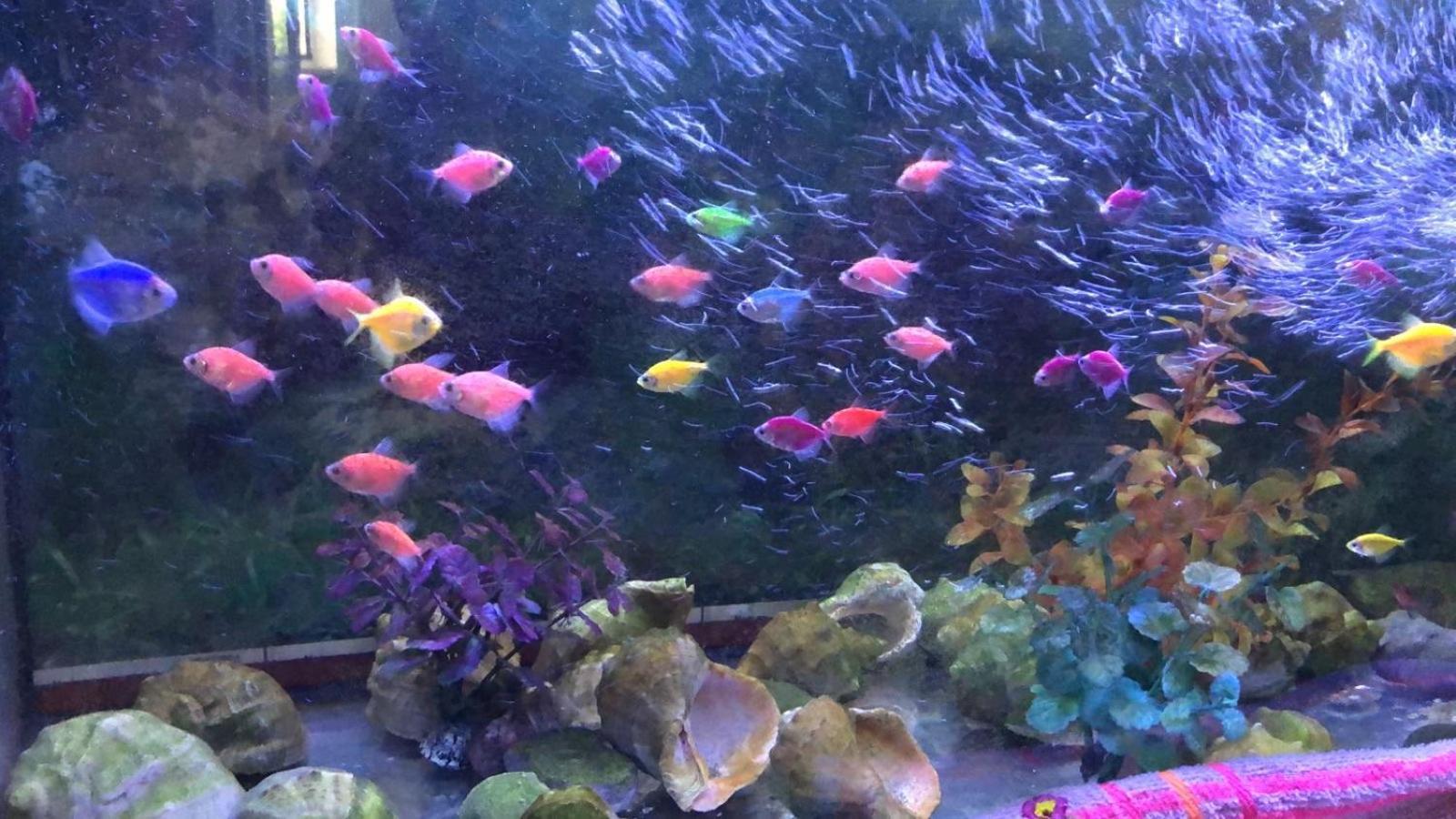 Vilari Odessa ภายนอก รูปภาพ